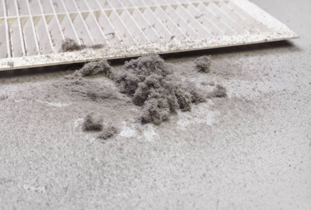Best HVAC Duct Inspection Services  in Three Way, TN