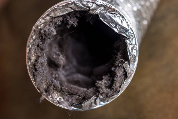Best Local Air Duct Cleaning Services  in Three Way, TN